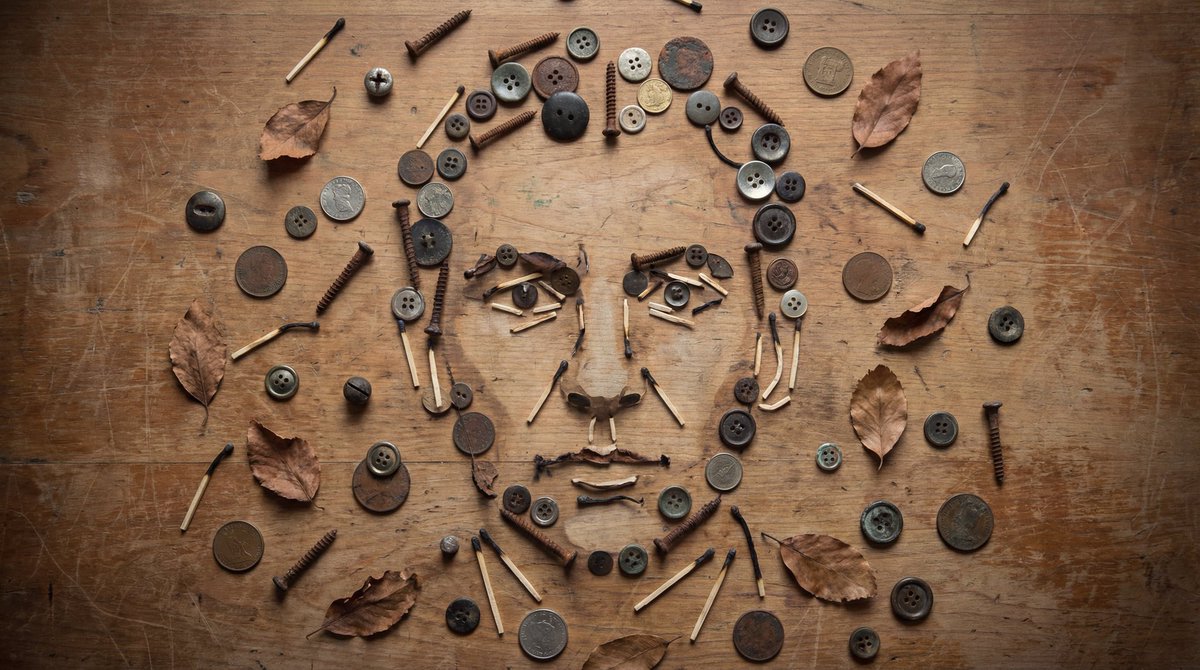 Still-Life Object Portrait Illusion