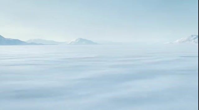 Polar Bear Emerging from Cracking Frozen Lake