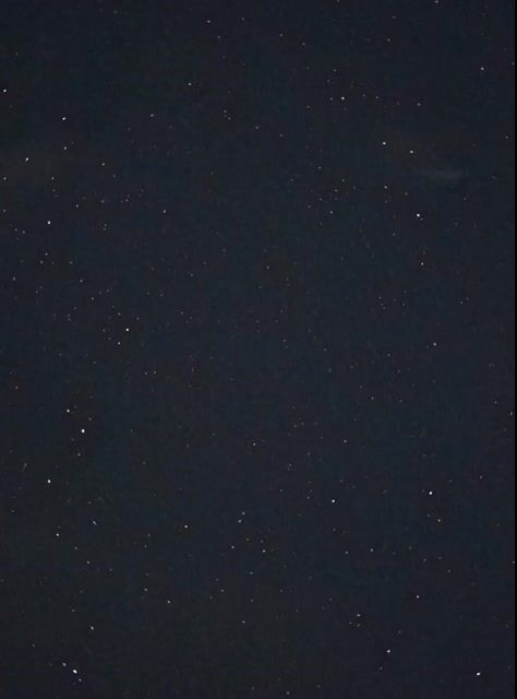 Night Sky and Pine Tree Animation