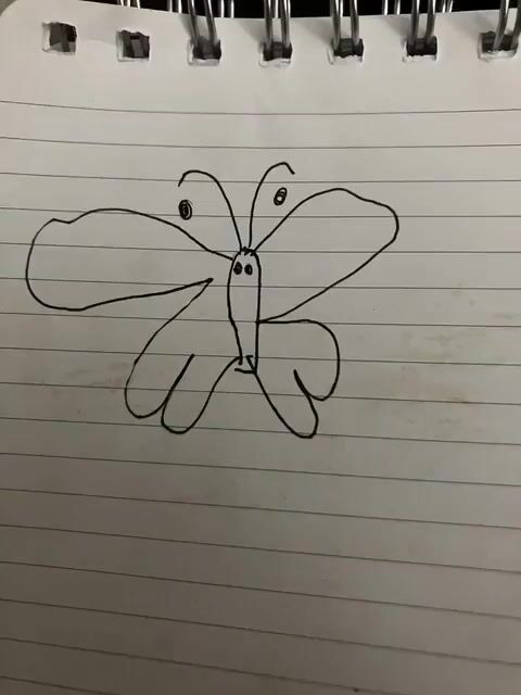 Bedtime Butterfly Animation