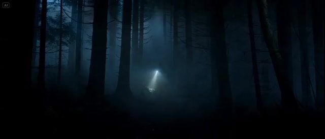 Cinematic Forest Horror Sequence