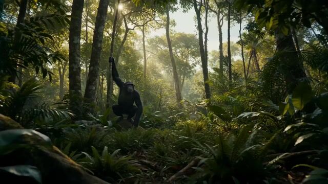 Human Evolution Hyper-lapse